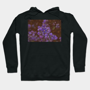 Australian Wild Flowers #3 Hoodie